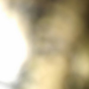 Meet your Posher, Sherry